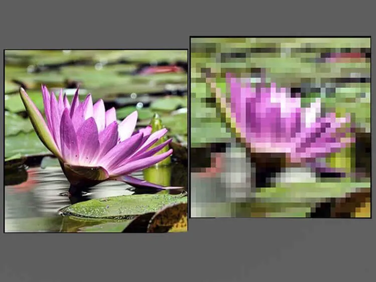 رزولوشن چیست؟ هر آنچه باید در مورد رزولوشن تصویر بدانید 1 رزولوشن چیست؟ هر آنچه باید در مورد رزولوشن تصویر بدانید